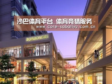 案例展示一