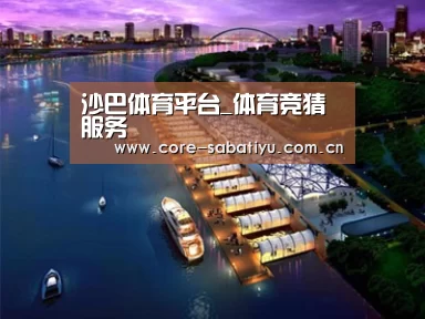 案例展示八