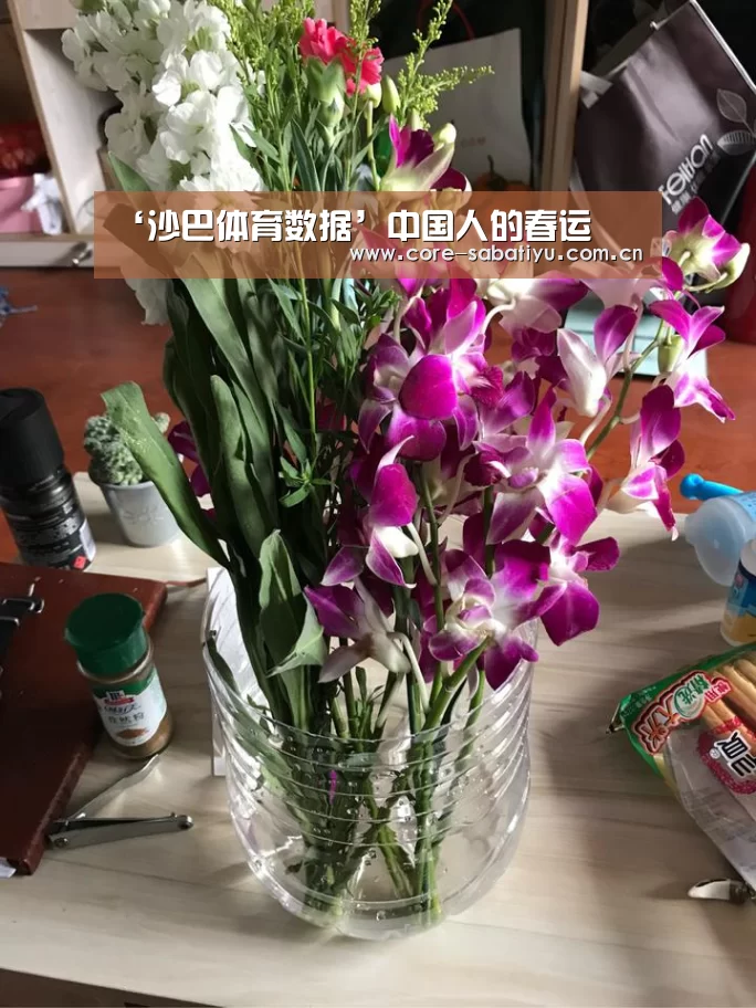沙巴体育数据
