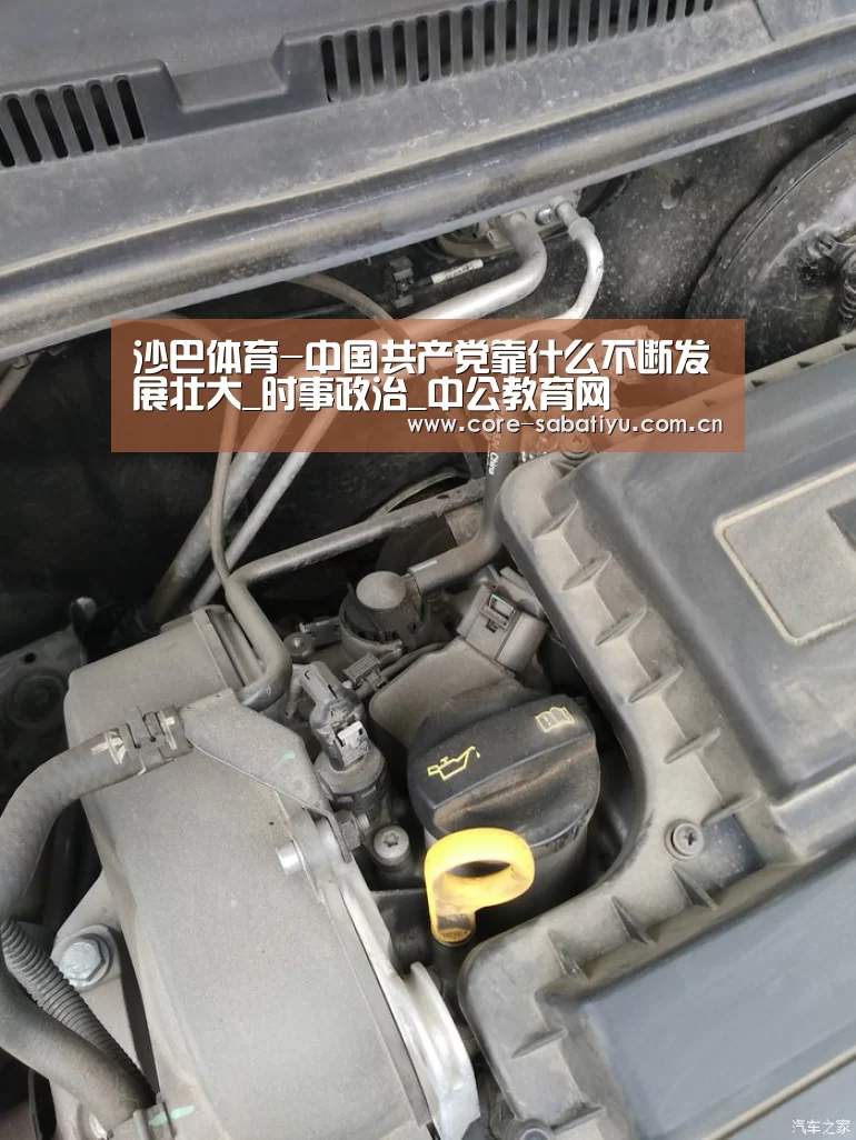 沙巴体育app