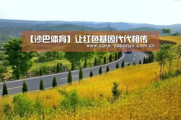 沙巴体育平台