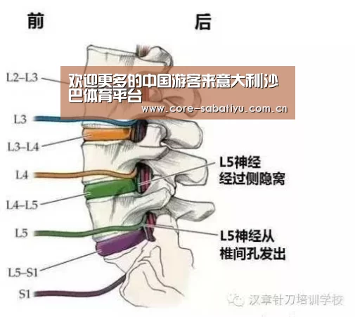 沙巴体育数据