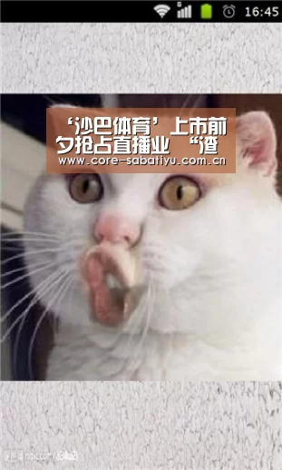 沙巴体育数据