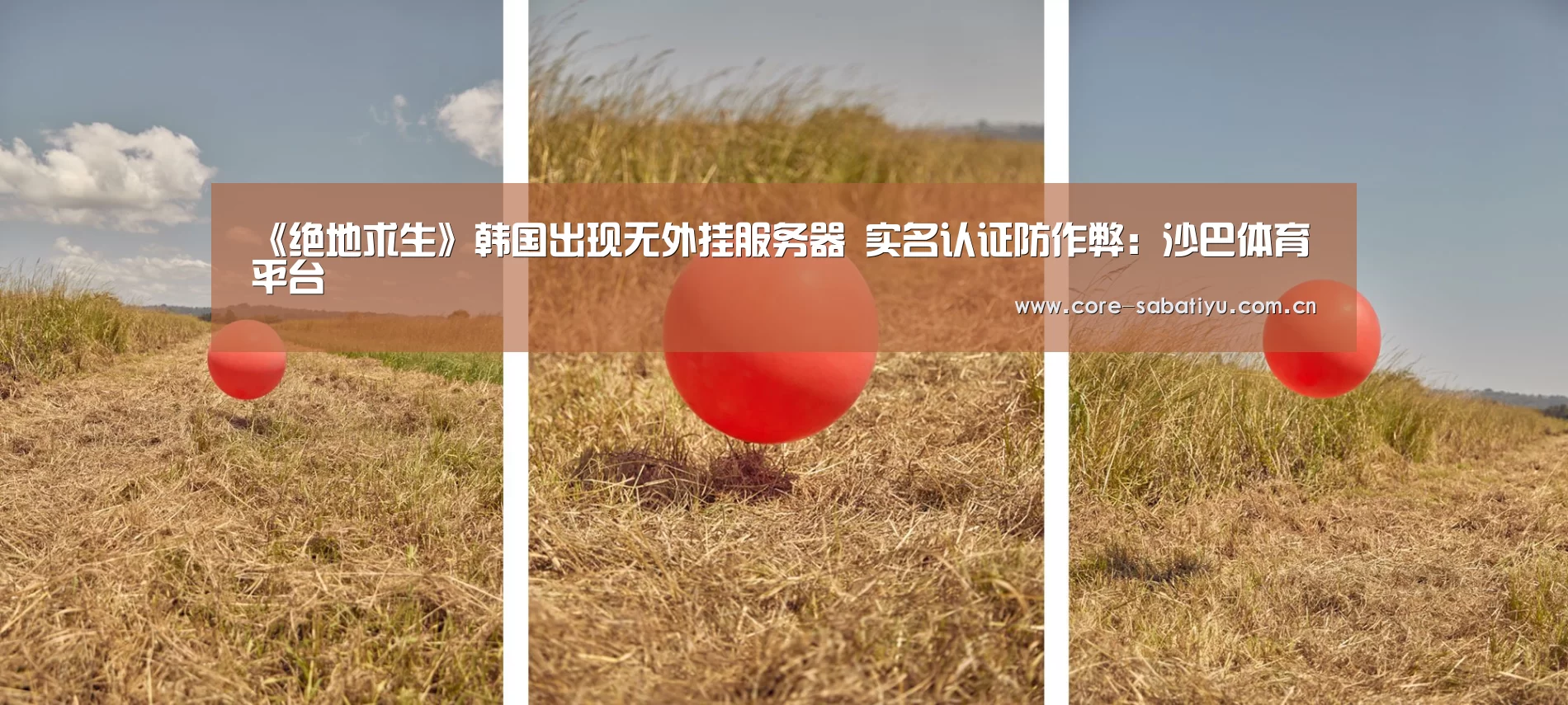 沙巴体育