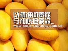 以精准问责促守初心担使命_时事政治_中公教育网“沙巴体育平台”(图2) 沙巴体育
